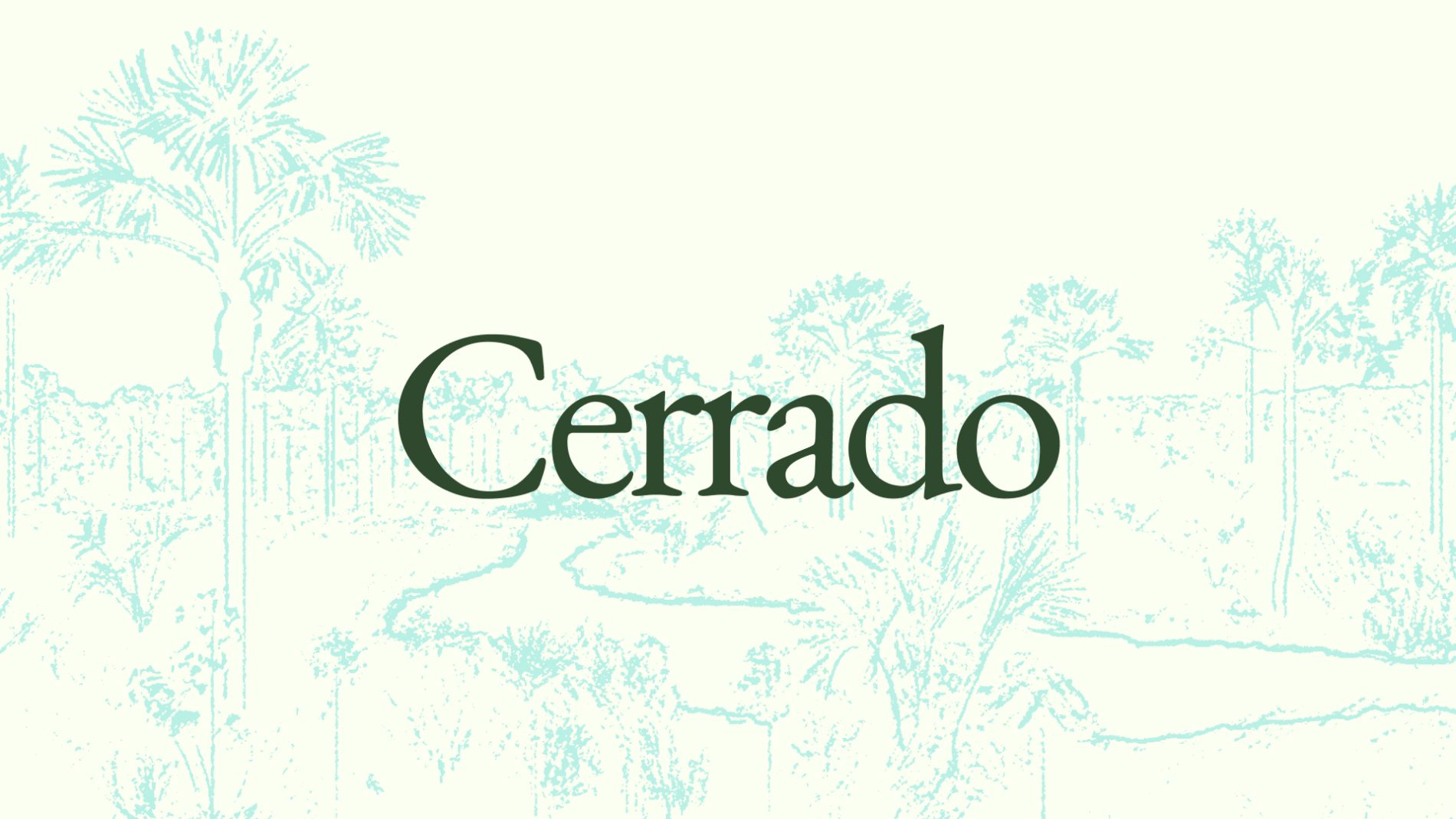 Ambiental Media的Cerrado专题主视觉。