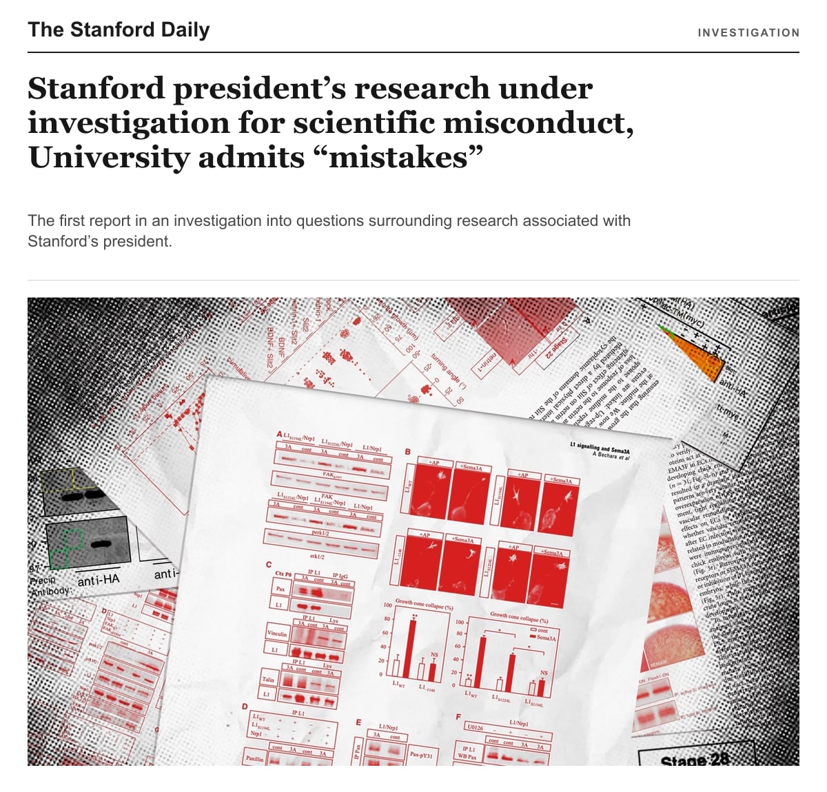 The Stanford Daily 原作页面画面，包含报道标题、导语和必要原图。